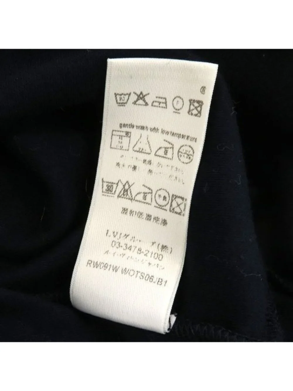 Louis Vuitton brand louis
